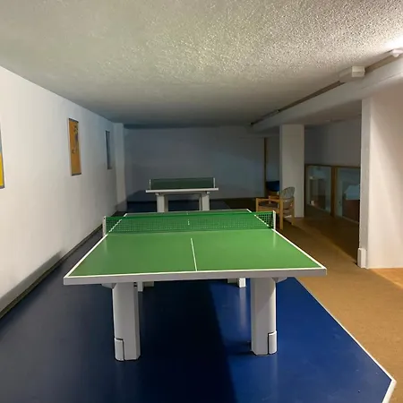 Pleskini Apartment *