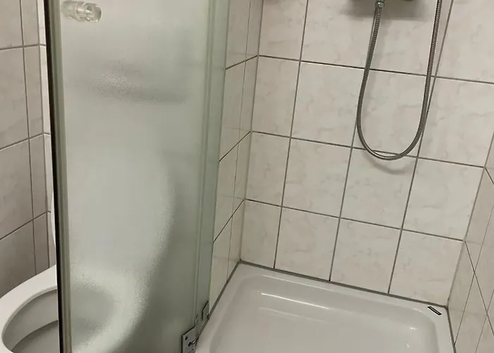 Pleskini Apartment Sankt Englmar